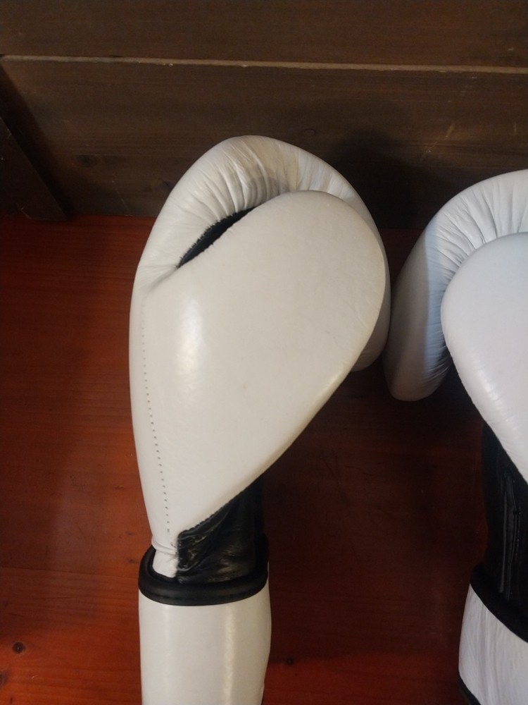 Daniel Gracie 16oz gloves