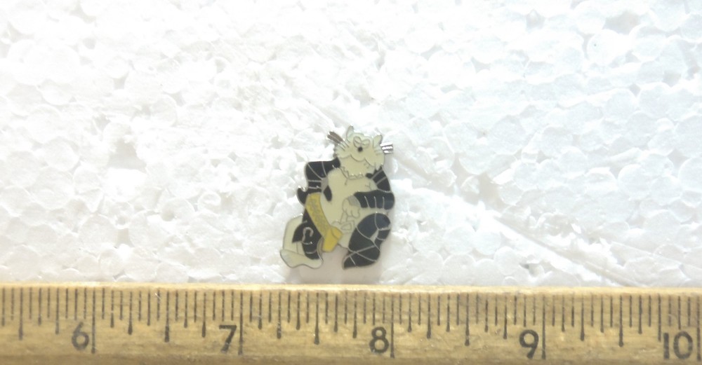US Navy - Tom Cat Pin