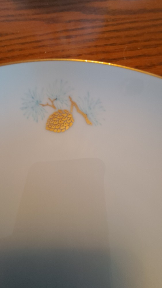 Fukagawa Arita Handpainted 41 Piece Grouping Dinnerware Pine Cone Pattern #904