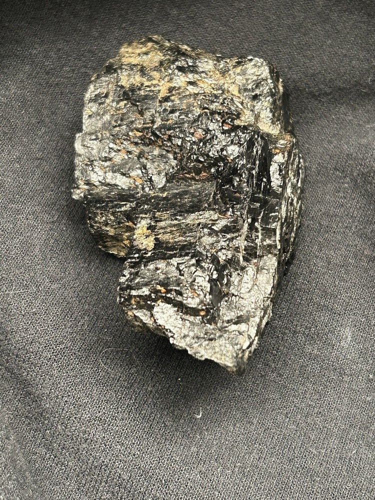 Lower Eagle Ford Cretaceous Coal Zone- Carbonized Dinosaur Age Material, Texas