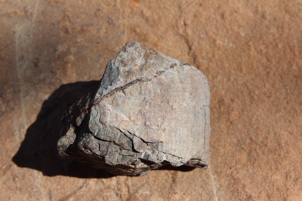 Dinosaur Bone, Lab Grade, Medium Bones, 2.5" to 3.25"