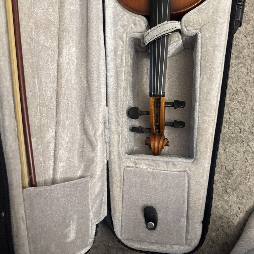 Violin In Case Instrument Mendini