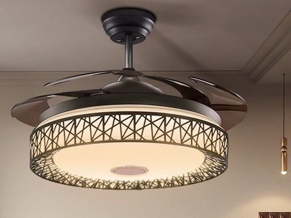 42'' Ceiling Fan with LED Lights