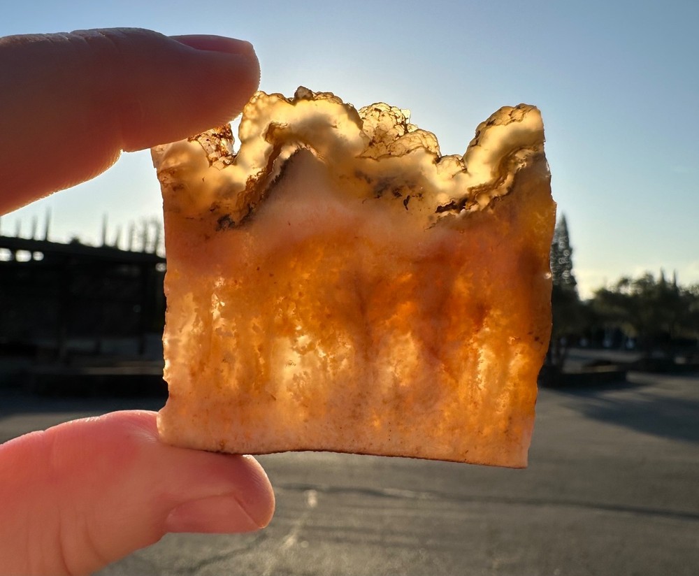 Regency Rose Plume Agate Slabs, Pair, OR, Cabbing/Lapidary