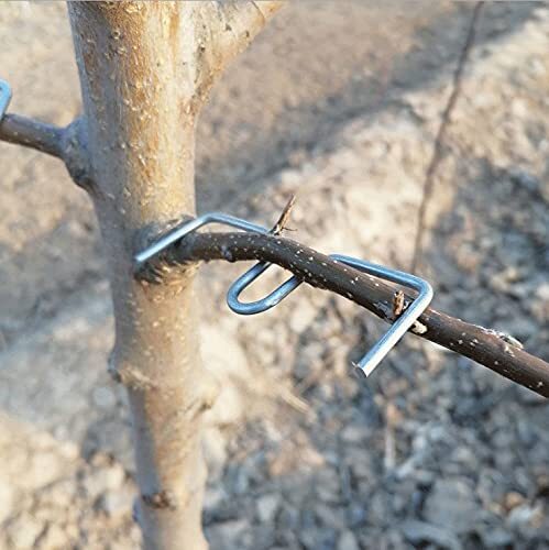 Fruit Tree Branch Puller Tying Machine Farm Tools Plum Tree Open Angle Pull Bran