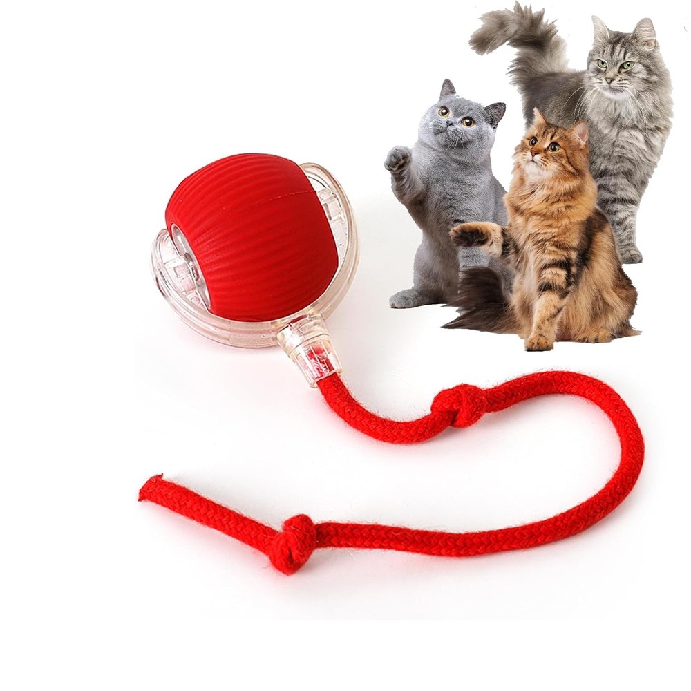 Rocfish Durable Interactive Cat Toys for Indoor Cats, Smart Automatic Red