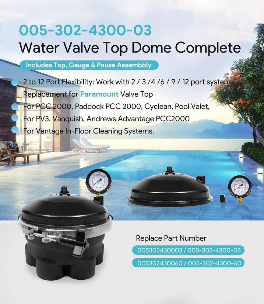 Replace for Paramount Water Valve Top Dome Complete Assembly with Gauge and Paus