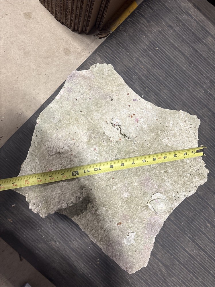 Large Plate Rock