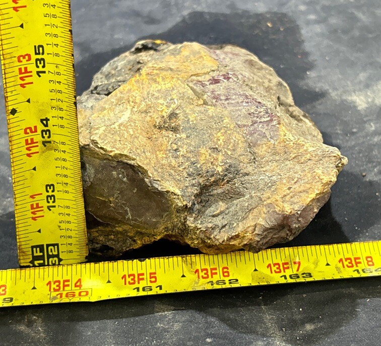 Silver Creek Junction petrified wood