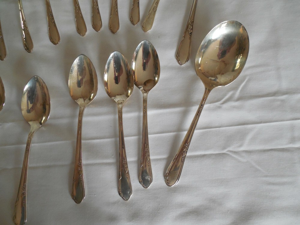 Wm A Rogers Oneida Meadowbrook 44 pieces