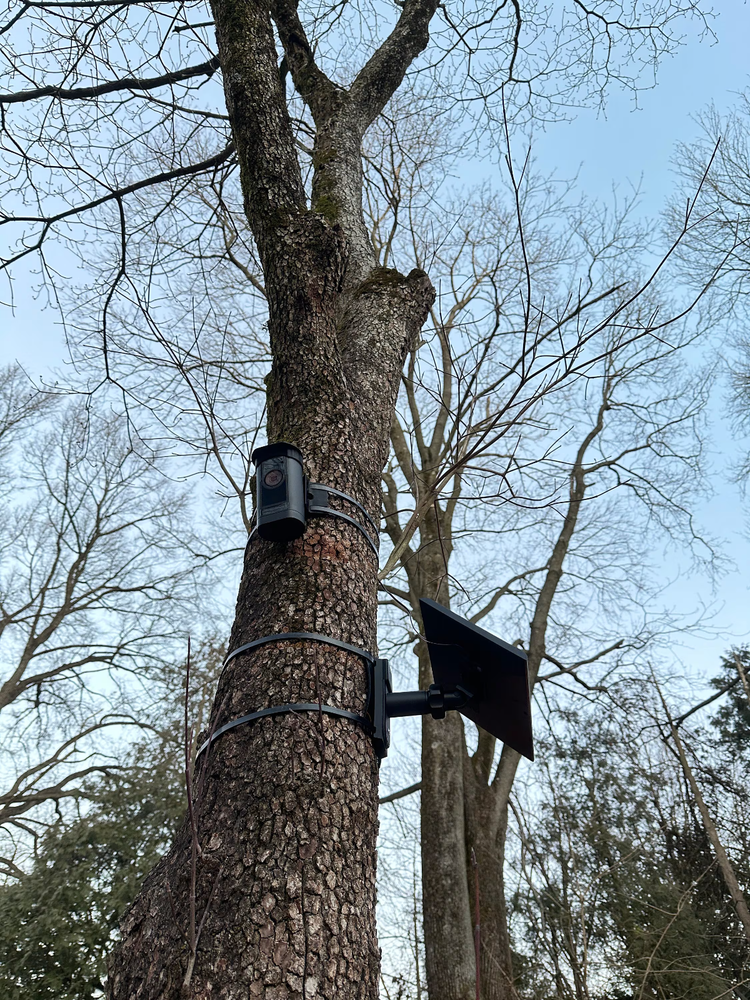 RING Stick Up Cam Pro - Tree Mount