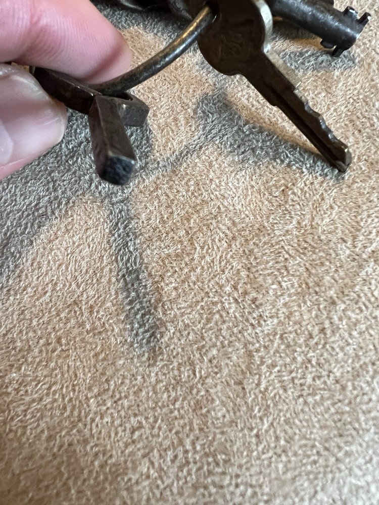 Vintage SKELETON KEYS & FLAT KEYS Assorted on Ring