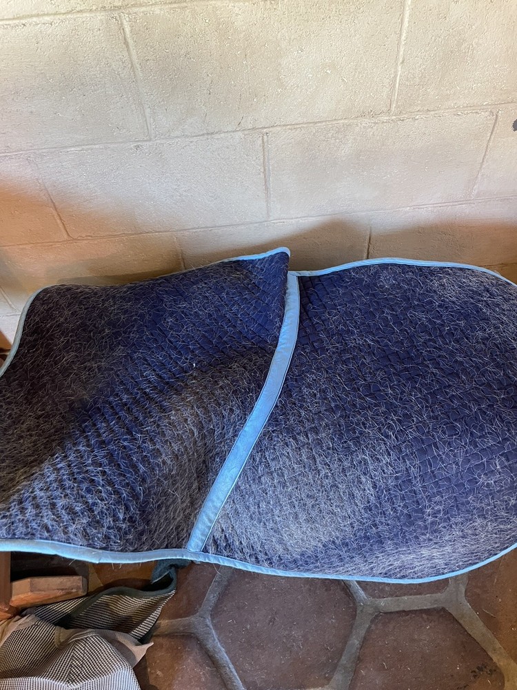 saddle pad, Turquoise Blue
