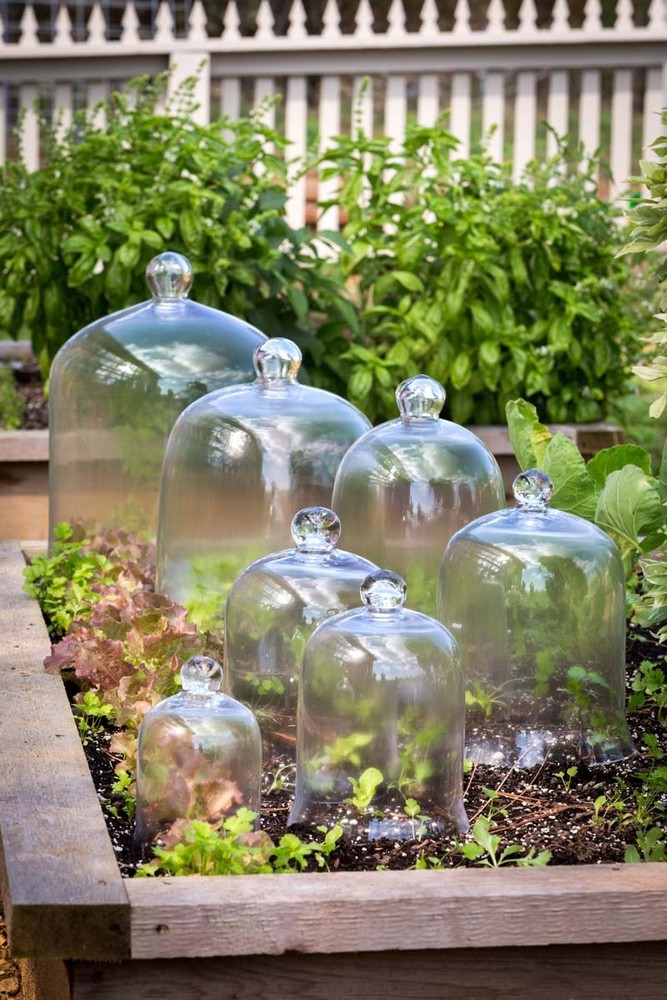 Glass Bell Jar Extra-Large Clear