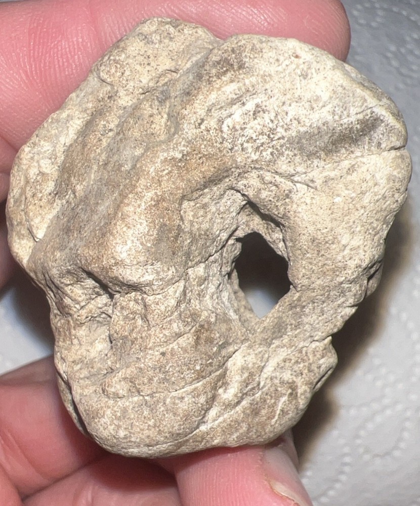 Natural hag stone 1.15oz.