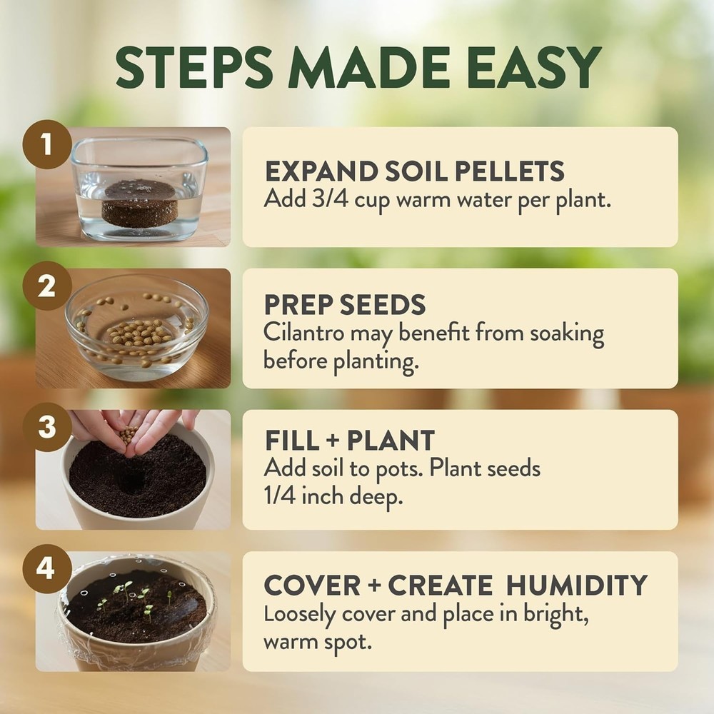 Beginner-Friendly Indoor Herb Starter Kit – Grow 4 Heirloom Plants Effortlessly