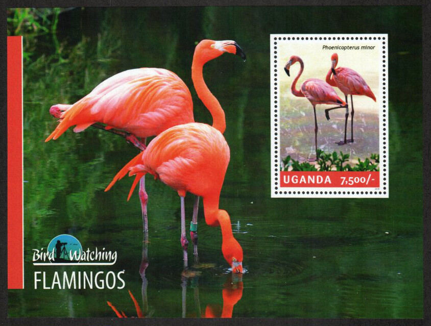 Uganda Stamp 2122  - Flamingos