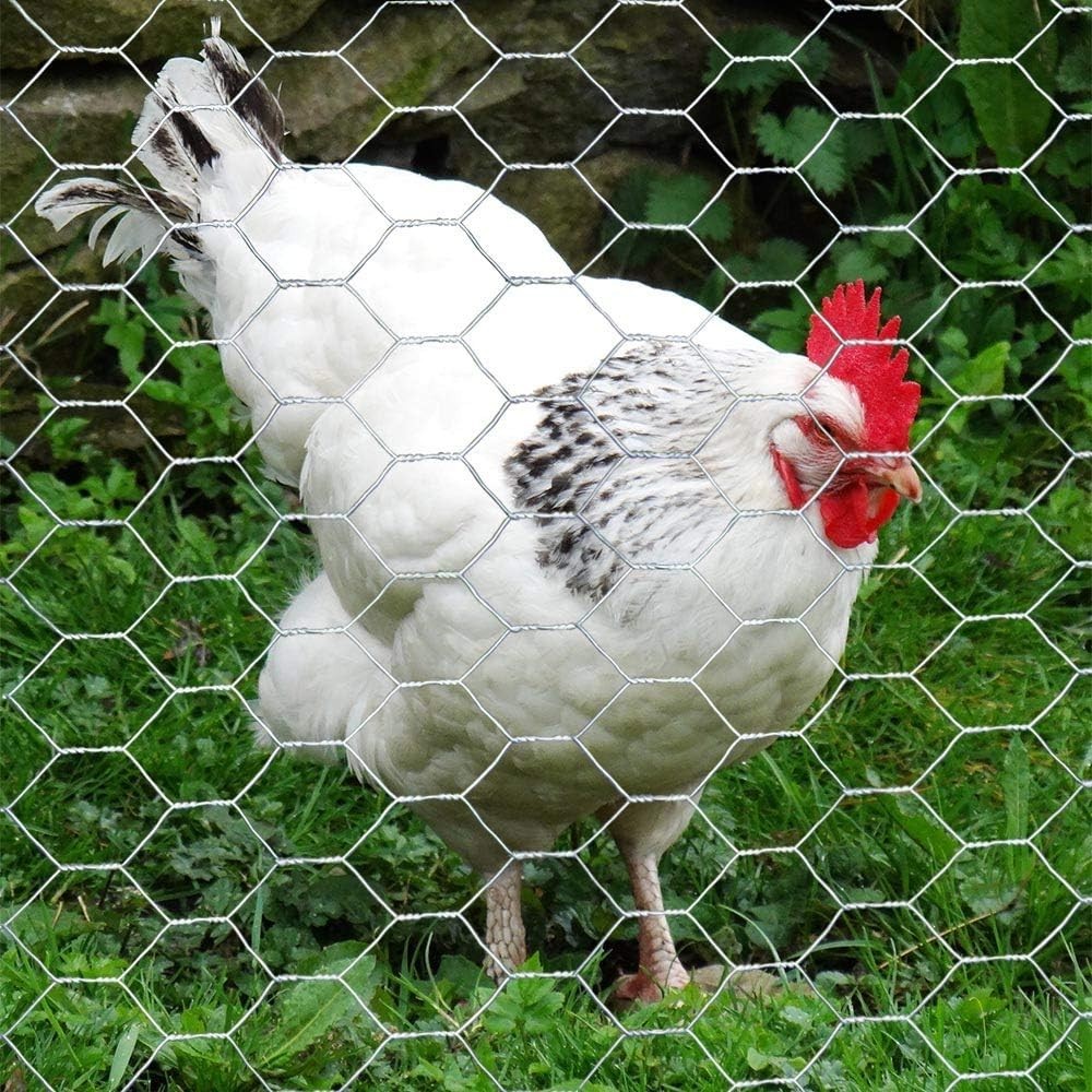 Versatile 20GA Galvanized Hexagonal Chicken Wire - 36'' x 25' for Enclosures