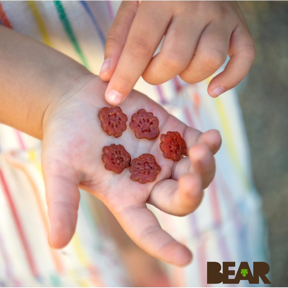 Real Fruit Snack Minis, Strawberry