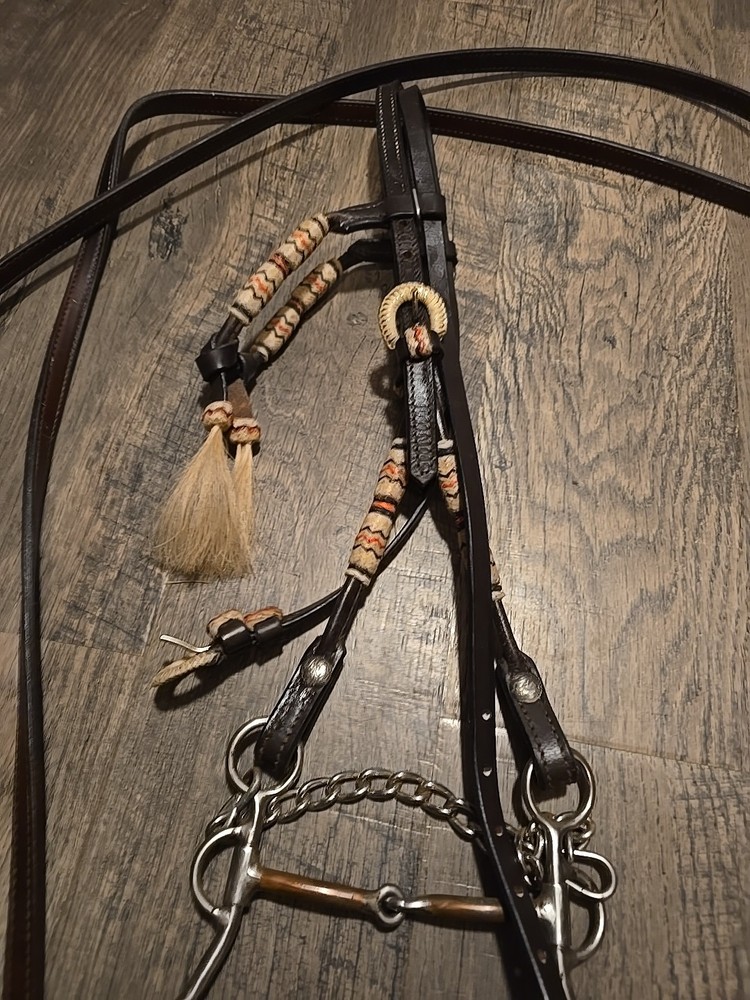 western bridle and reins