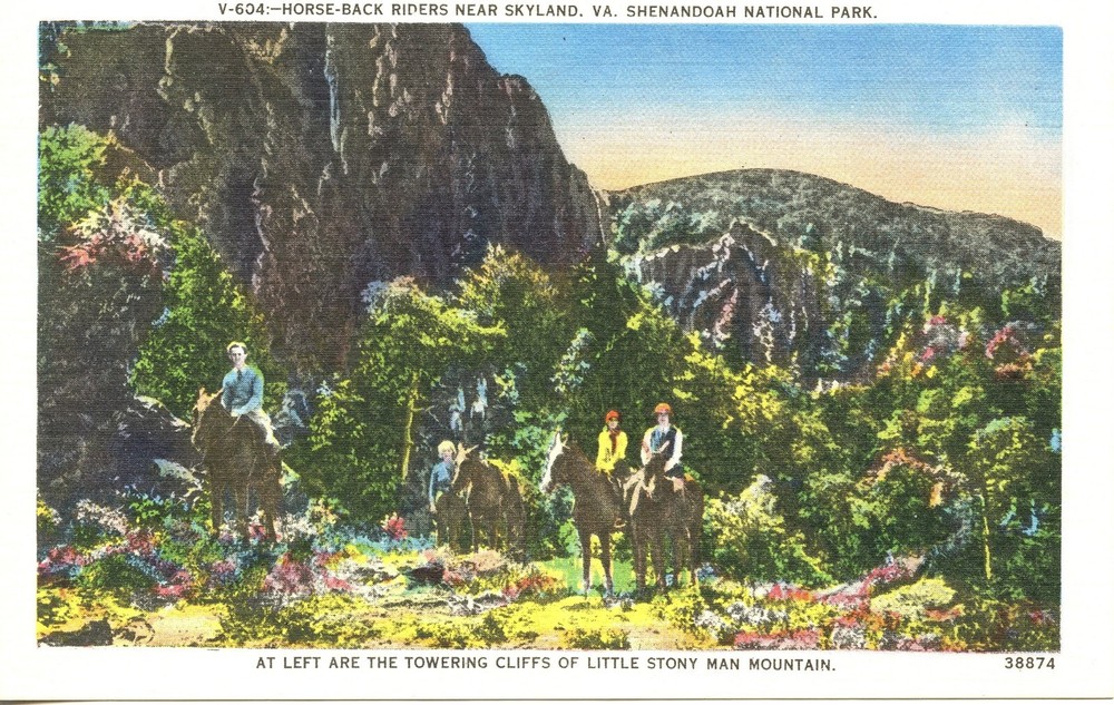HORSEBACK RIDERS NEAR SKYLINE, VA - PC1078