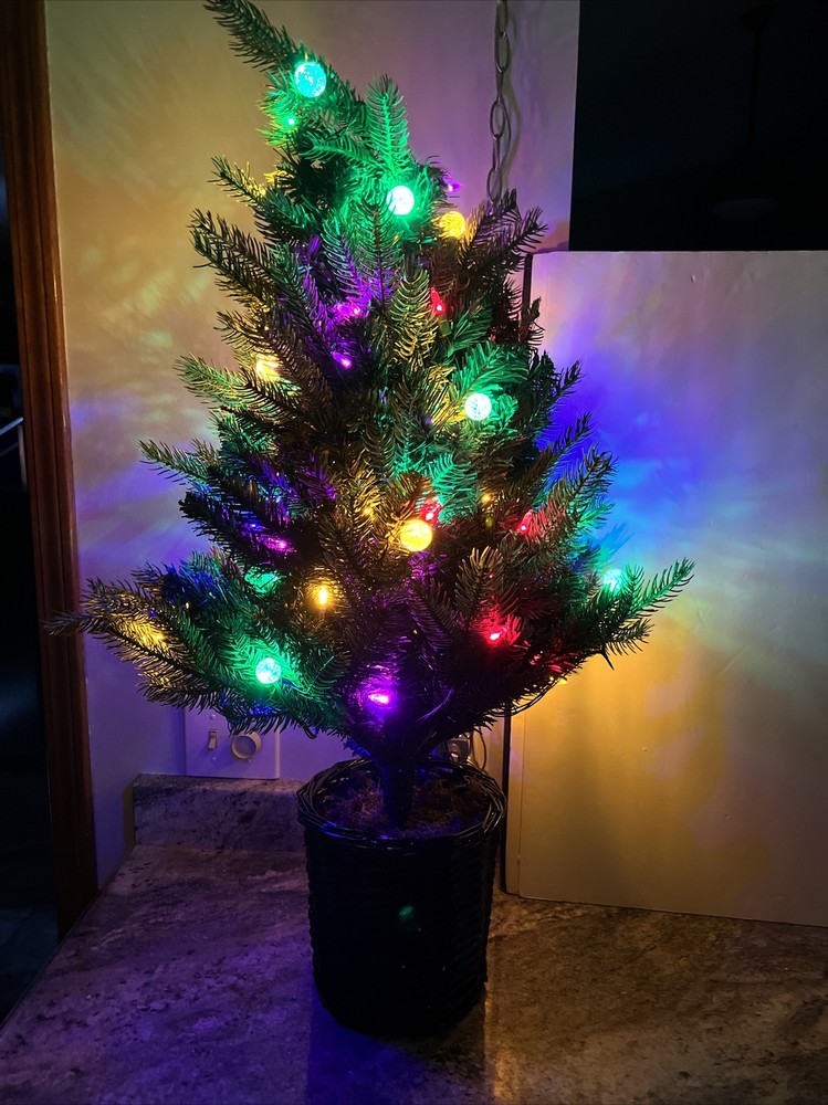 Bethlehem Lights 3' URN Mixed Bulb  Christmas Tree MULTICOLOR  LIGHTED