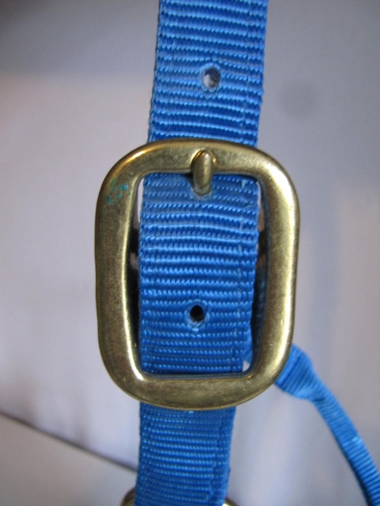 MONTY ROBERTS BLUE MEDIUM/LRG DUALLY TRAINING HALTER