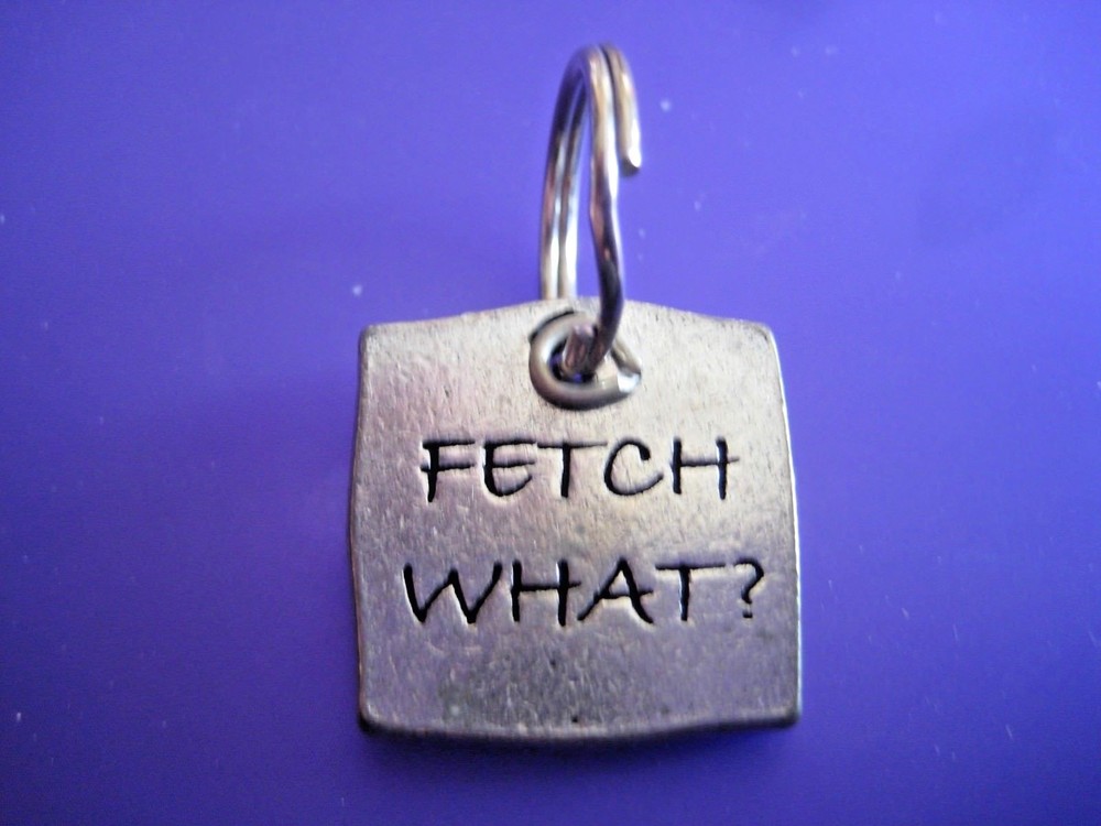 Fetch What? Metal Dog Collar Tag Charm NEW