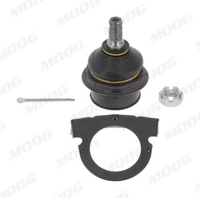 Control Arm Pin Front Left (Left) - Right