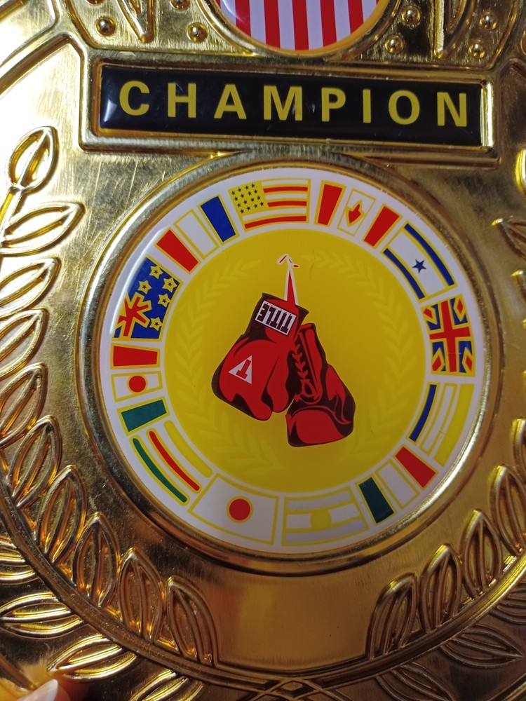 Professional Black / Red Championship TITLE Belt