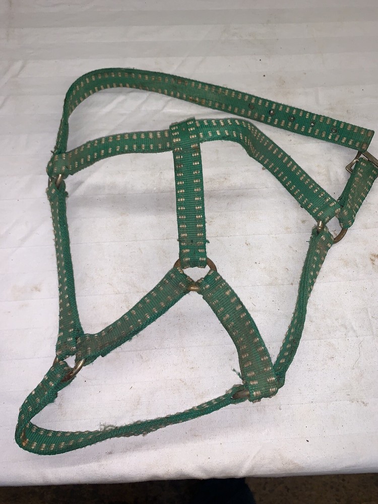 Green Nylon Horse Halter ~ Used