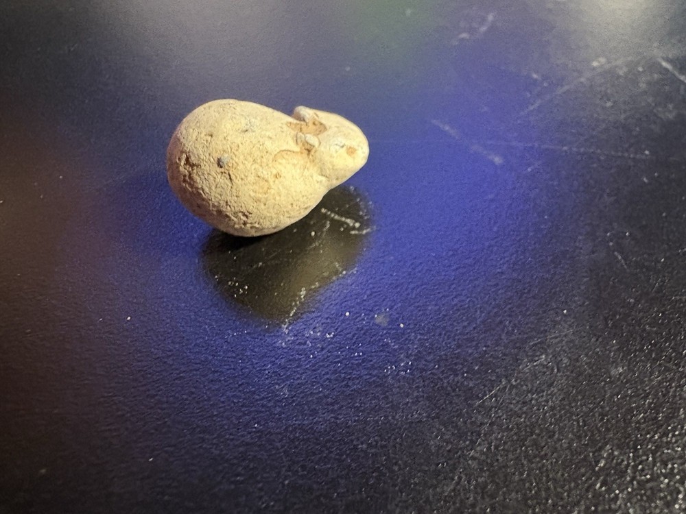 Dug Civil War Relic