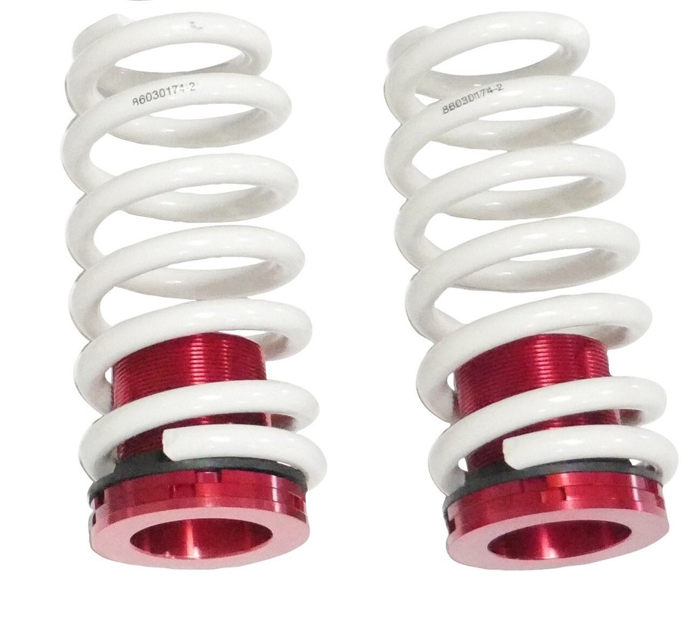Rear Hi-Low Adjustable Lowering Spring Coilover Kit for 05-14 Mustang