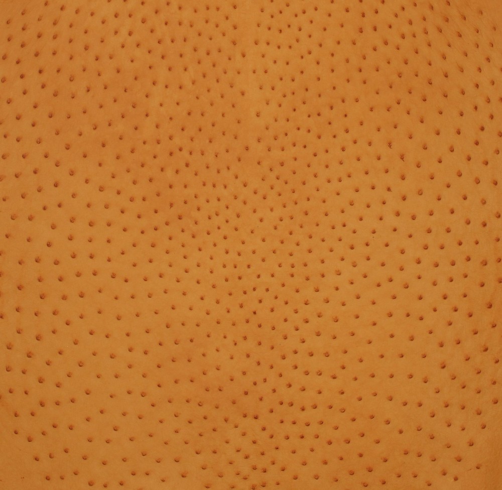 Ostrich Leather Hide, Buttercup Color SF