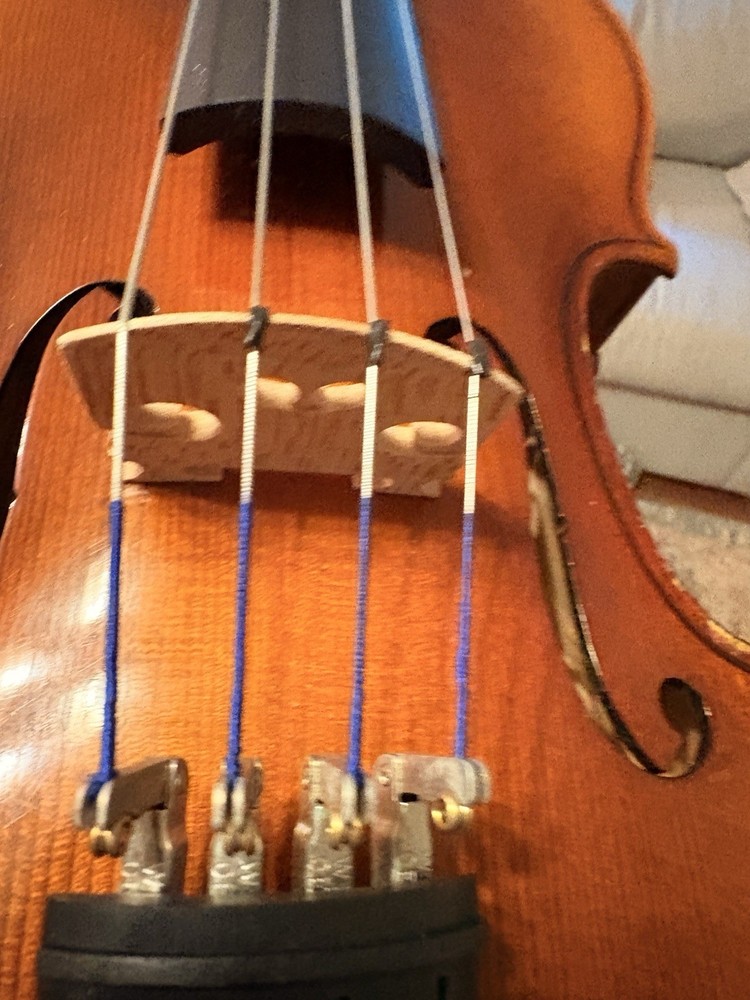 Voila Size 14 Student