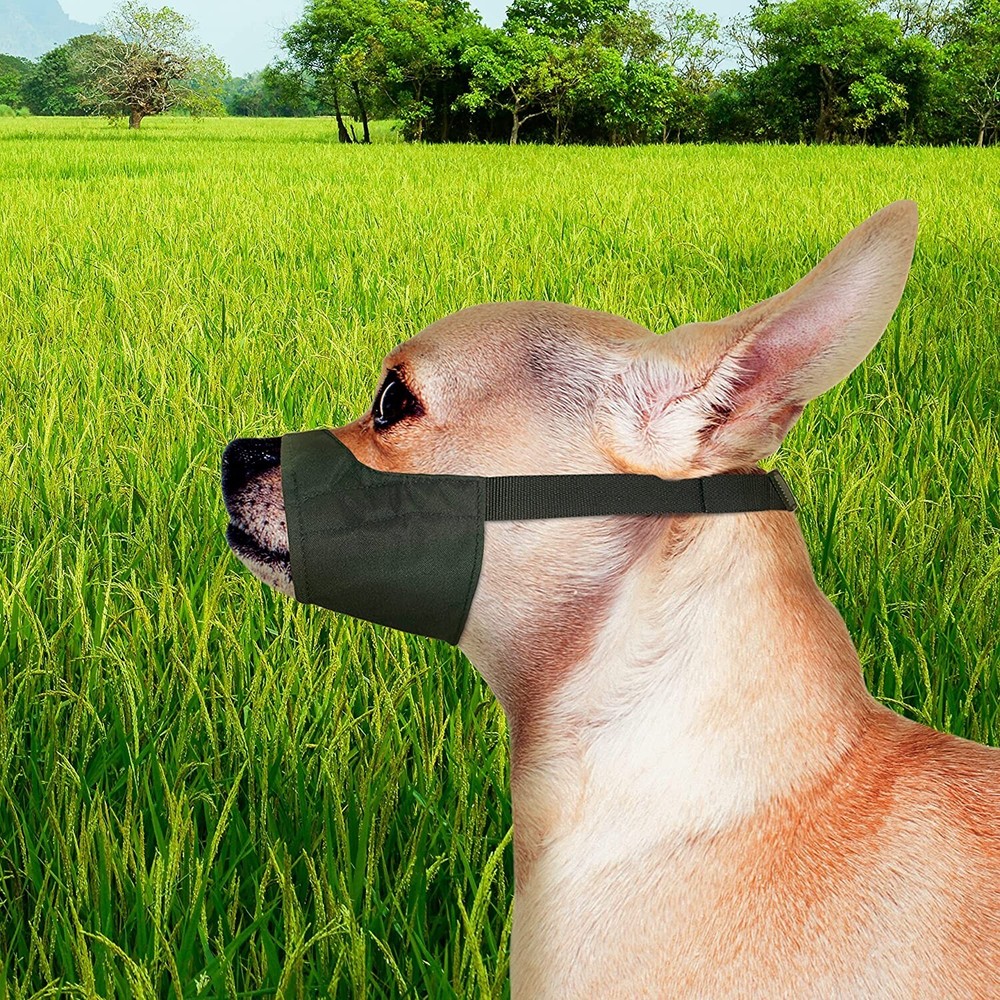 New In Package Four Paws Walk-About Quick-Fit Dog Muzzle 0-XX-Small