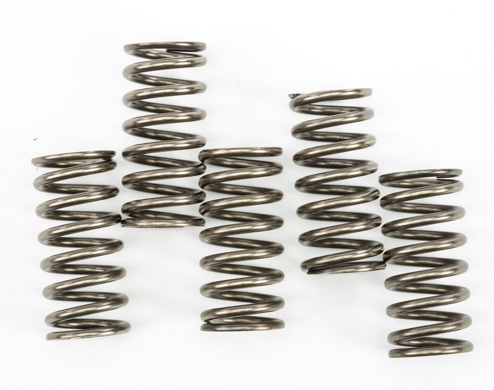 EBC Clutch Spring Set - Clutch Springs - CSK237