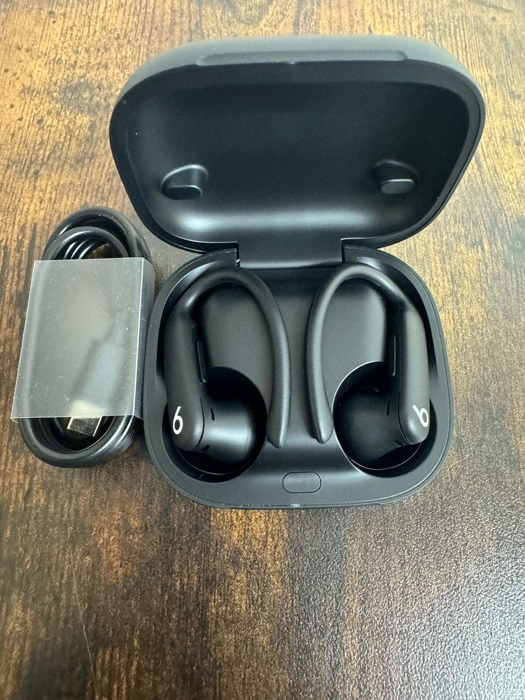 Beats Powerbeats Pro 2 Wireless Earbuds - Black