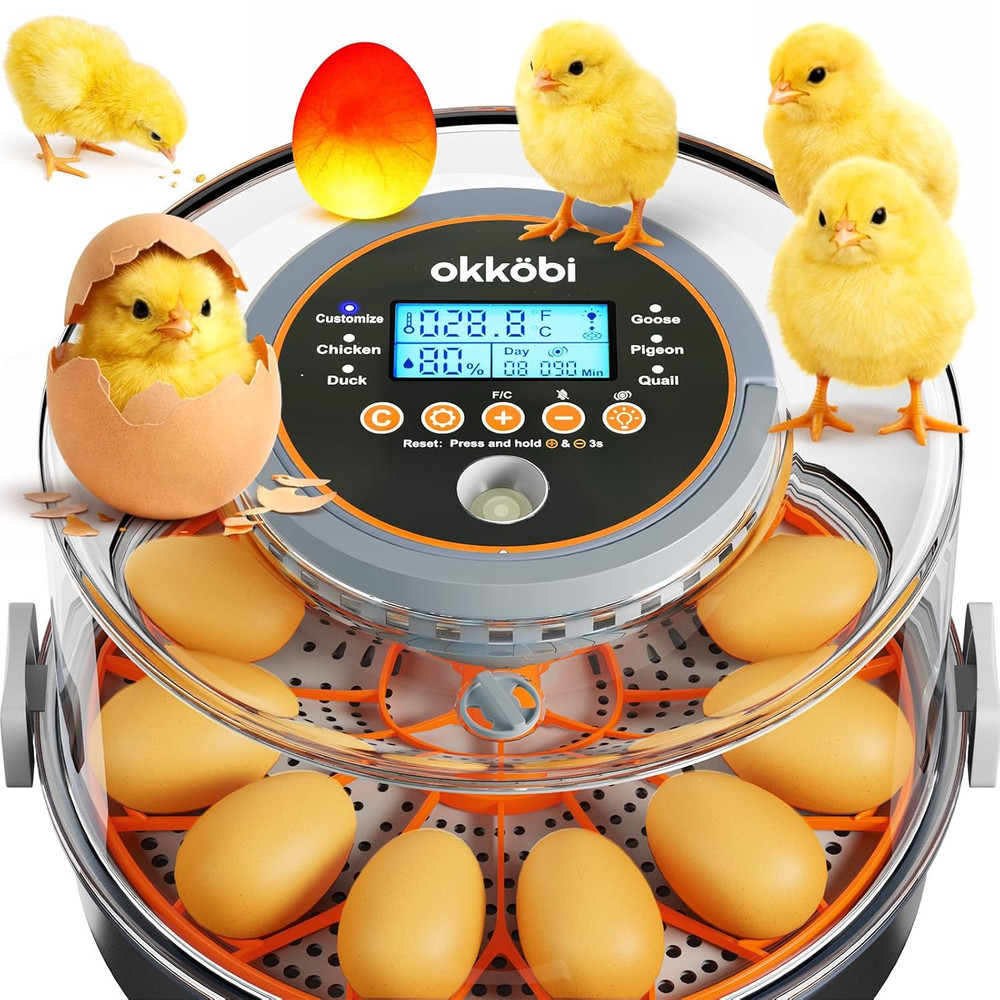 12 Egg Incubator with Automatic Egg Turning and Humidity Control – Temperature A