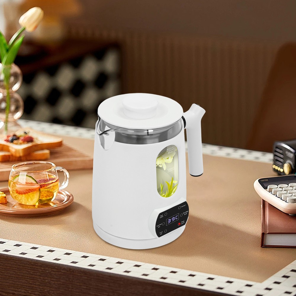 6 Functions Temperature Control Electric Tea Kettle With Tea Steamer Mesh White