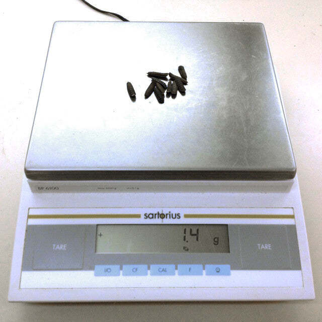 Black Soldier Fly Pupae