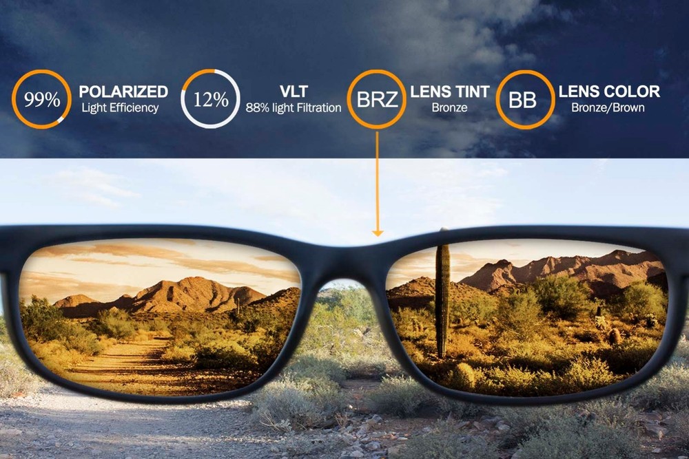 Polarized IKON Replacement Lenses For Arnette Munson Sunglassess - Brown