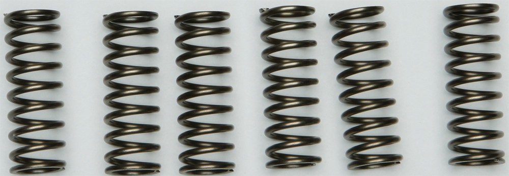 EBC Clutch Spring Set - Clutch Springs - CSK205