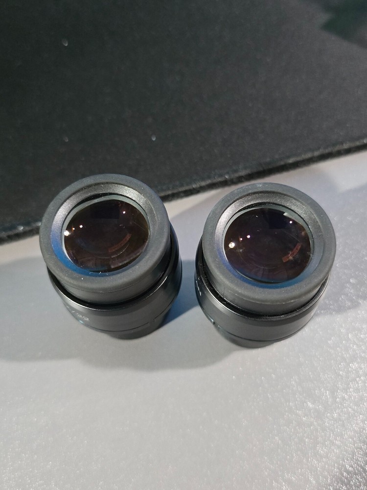 Pair of Nikon CFI 10x/22 Microscope Objective