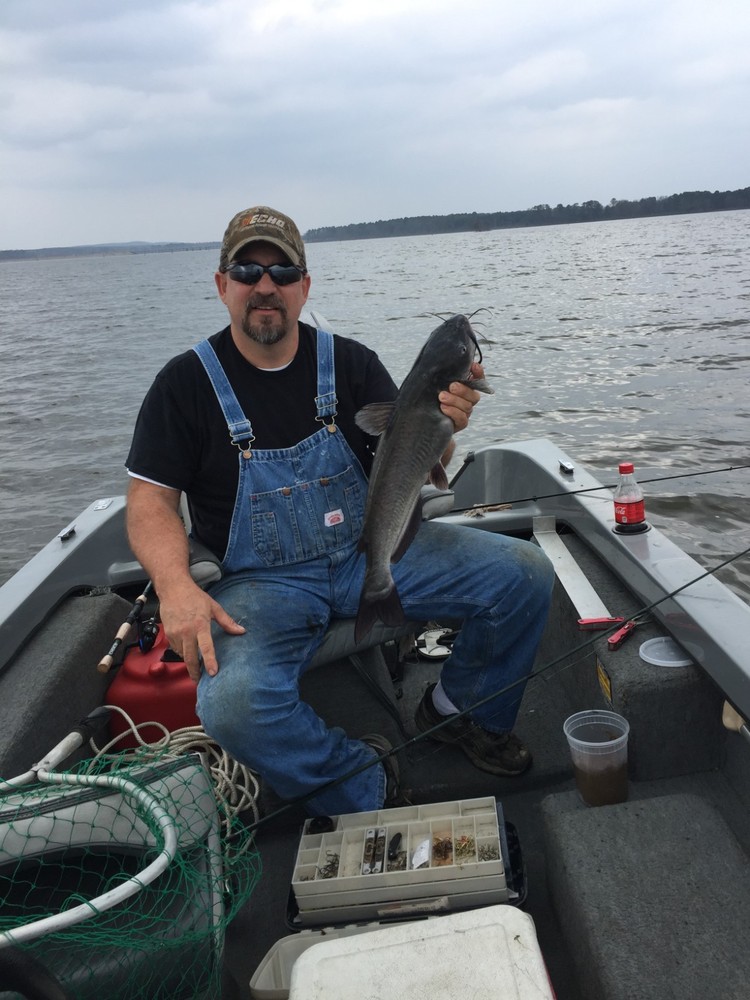 Catfish Crack