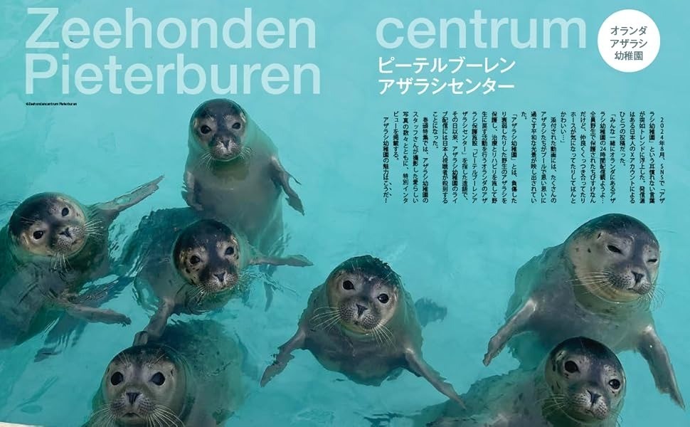 The Complete Seal Book Japanese Book