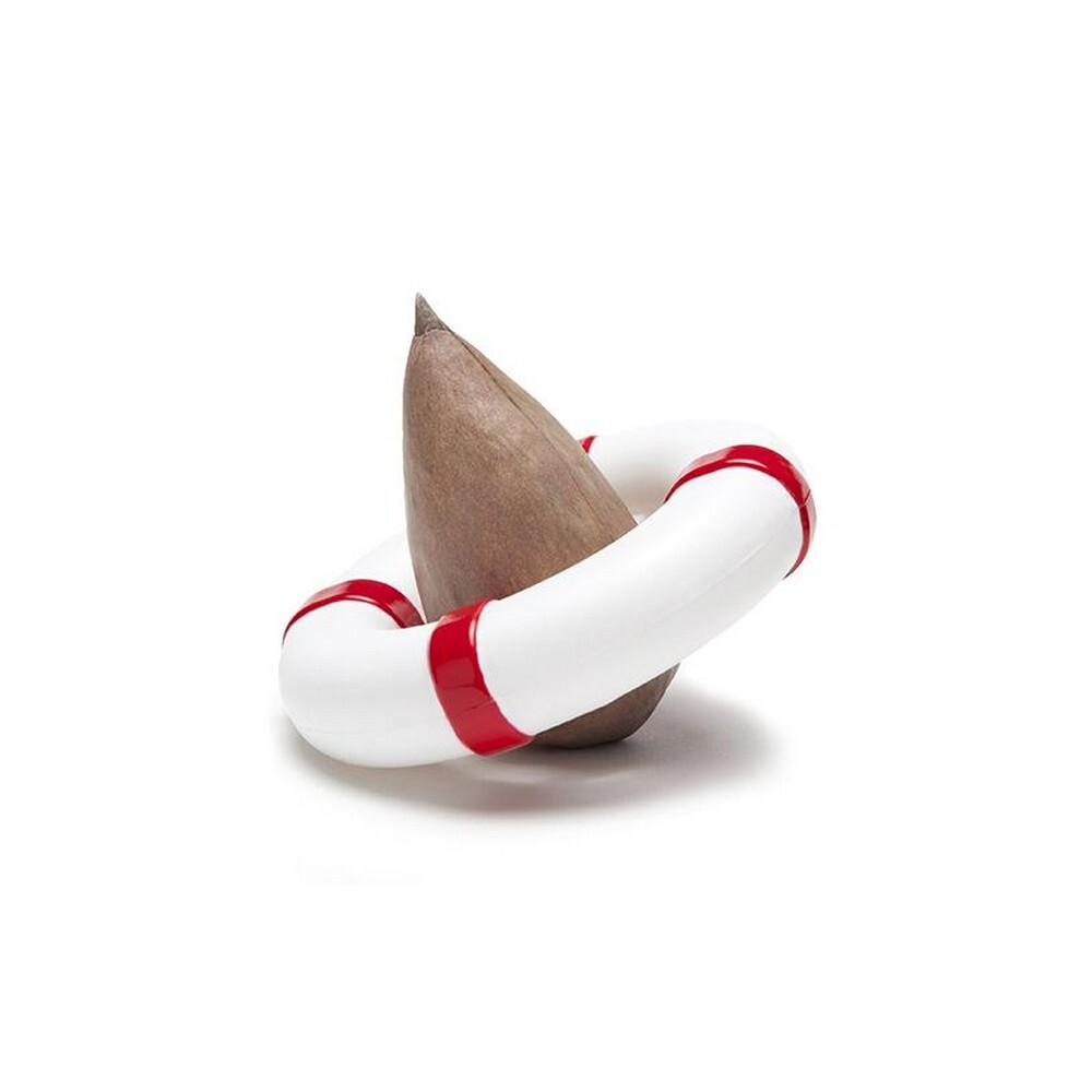 NEW Peleg Design Seed Guard Seed Growing Device