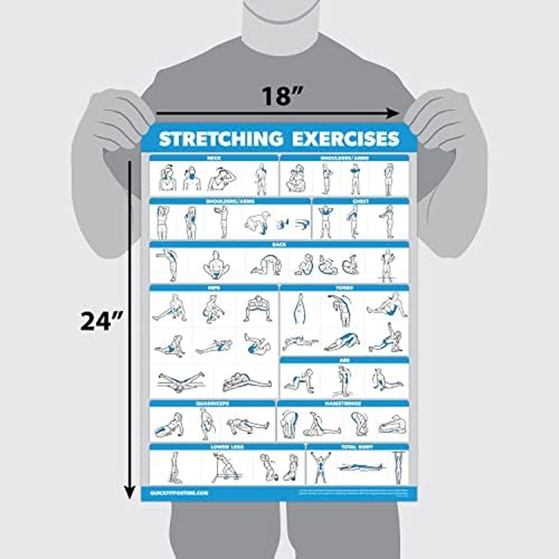 QUICKFIT Stretching Workout Exercise Poster - Stretch Routine (Laminated, 18" X