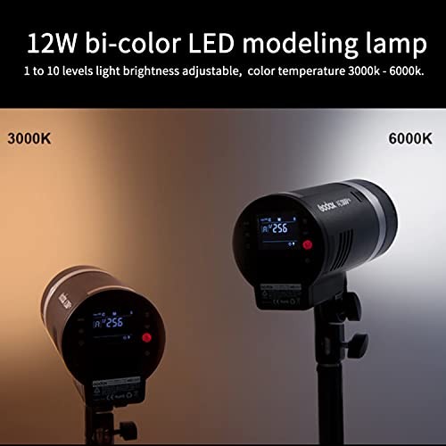 Godox AD300Pro Monolight