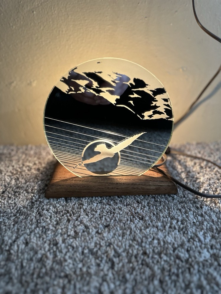 VINTAGE LIGHTED MIRRORED NIGHTLIGHT Bird Flying Skylight RARE